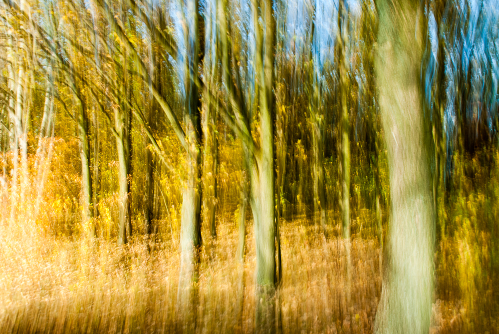 Herbstwald © Fotokunstwerk von Mirko Joerg Kellner